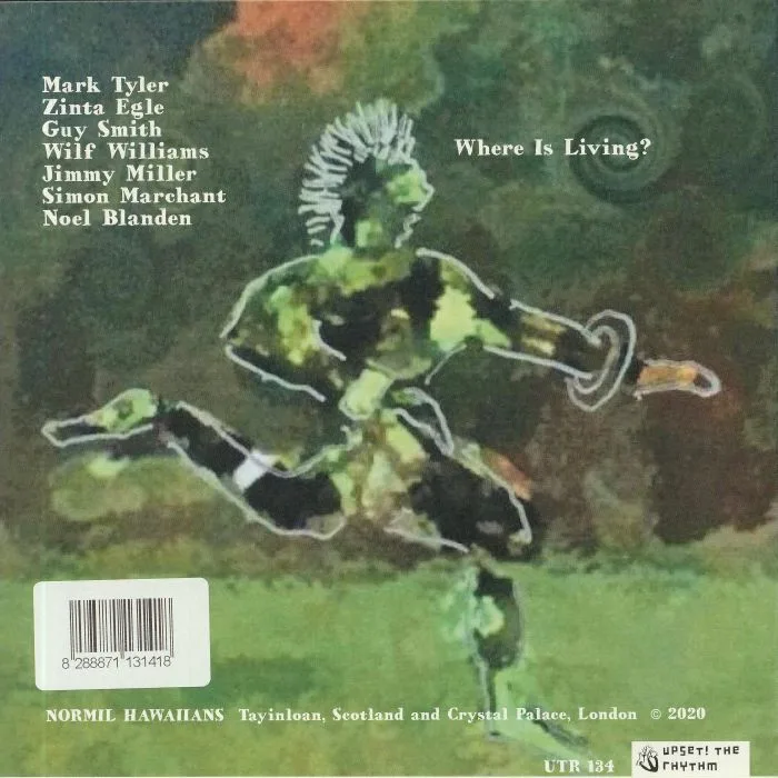 Back cover — NORMIL HAWAIIANS — In The Stone