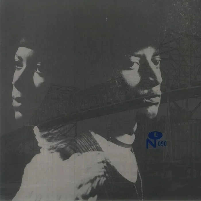 VARIOUS — Skyway Soul: Gary Indiana