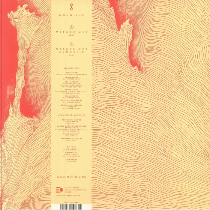Back cover — MONOLINK — Mesmerized