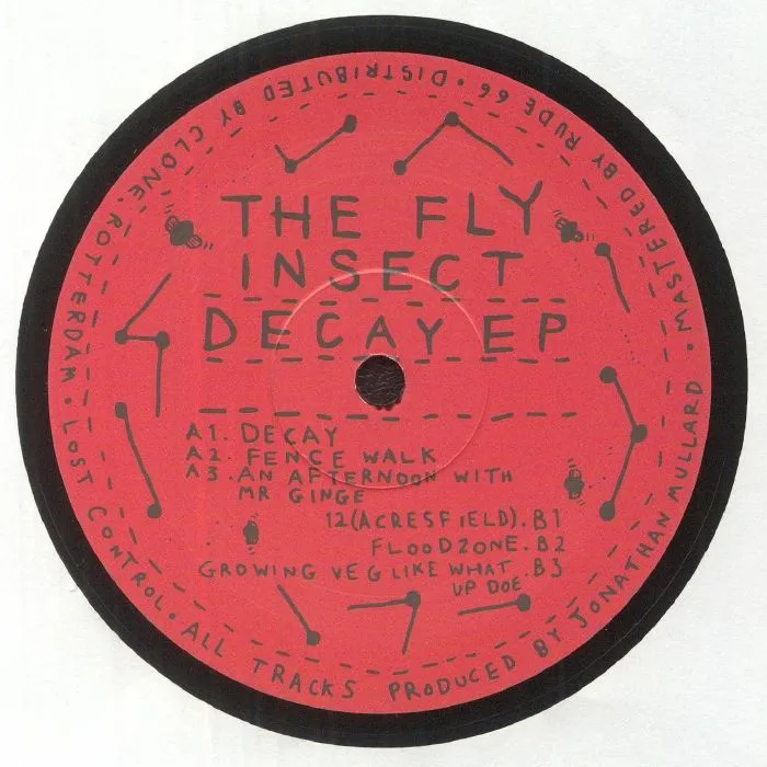 Back cover — The FLY INSECT — Decay EP