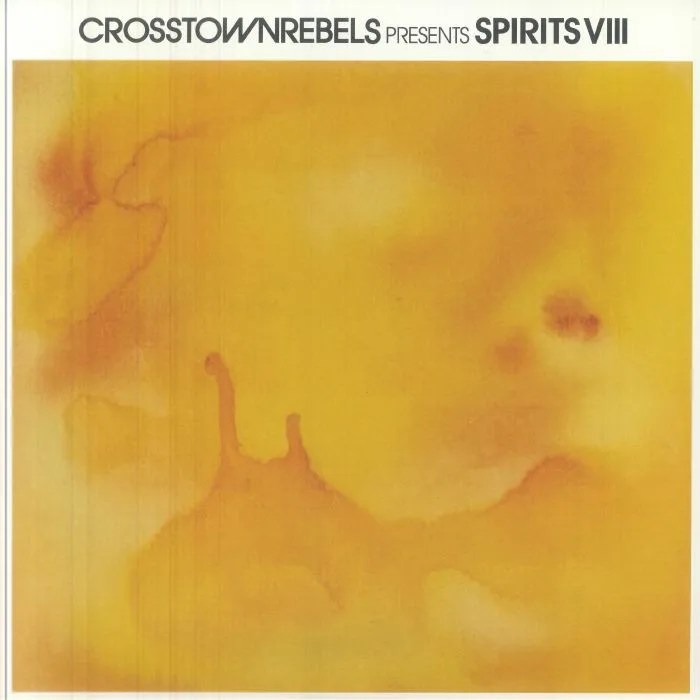 Лицевая сторона обложки — VARIOUS — Spirits VIII