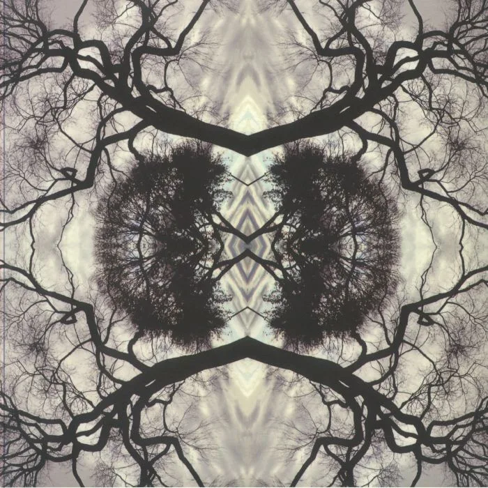 Adam RUDOLPH / GO ORGANIC ORCHESTRA — Sonic Mandala