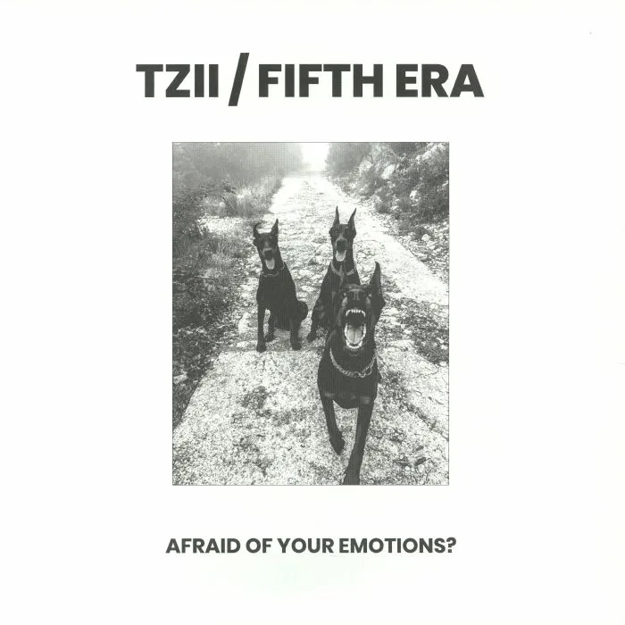 Back cover — TZII / FIFTH ERA — Tziifth