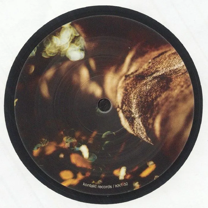 Front cover — Mike SCHOMMER — Leaving The Ground