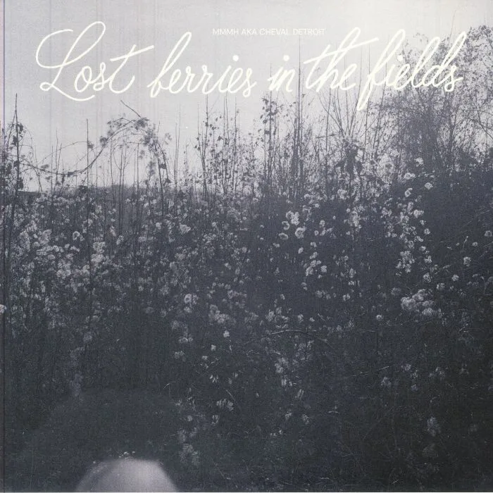 Лицевая сторона обложки — MMMH aka CHEVAL DETROIT — Lost Berries In The Fields