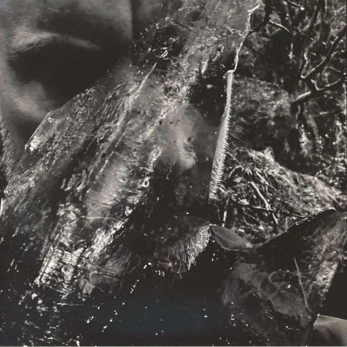 TAAKE — En Skog Av Nidstang