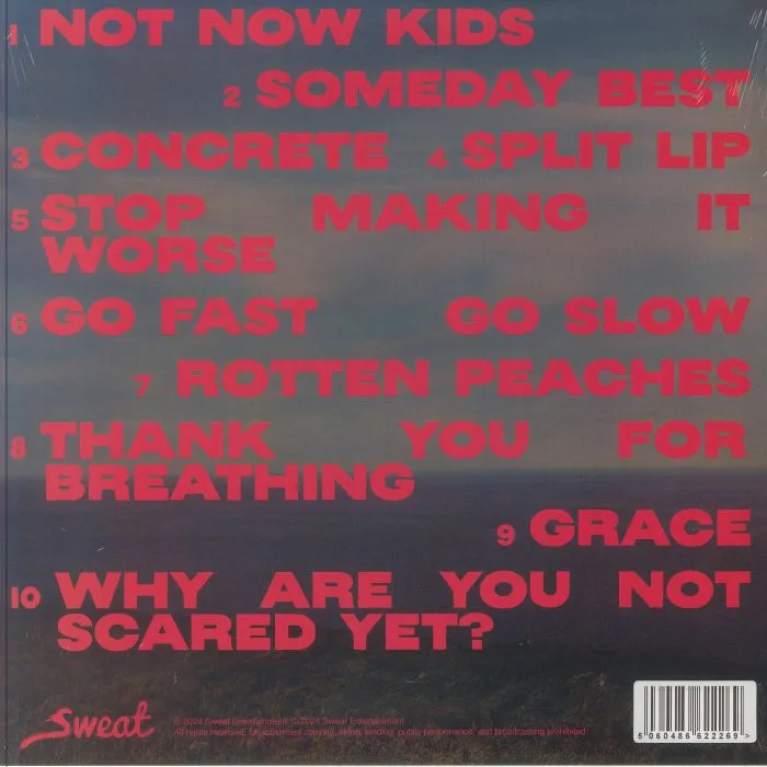 Back cover — DOLORES FOREVER — It's Nothing