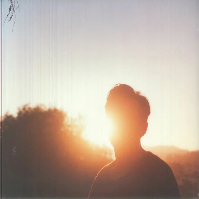 Hrishikesh HIRWAY — In The Last Hour Of Light