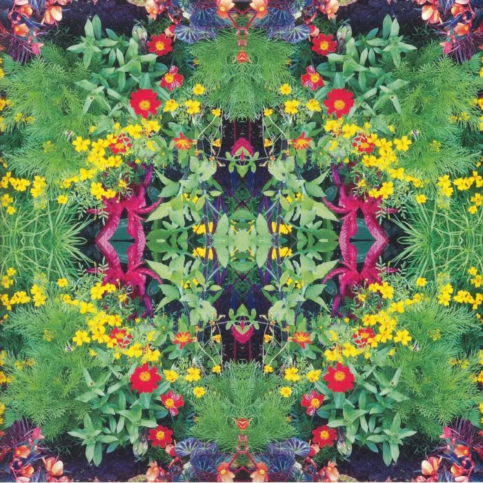 VARIOUS — Kaleidoscope: New Spirits Known & Unknown