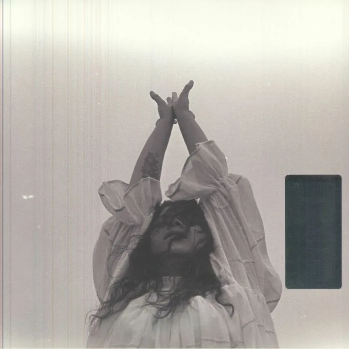 Front cover — Silvana ESTRADA — Marchita