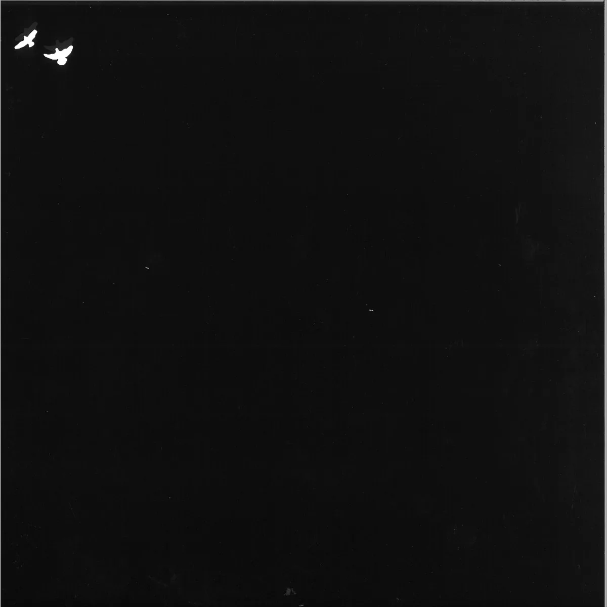 Back cover — Various — LCSTRAX002