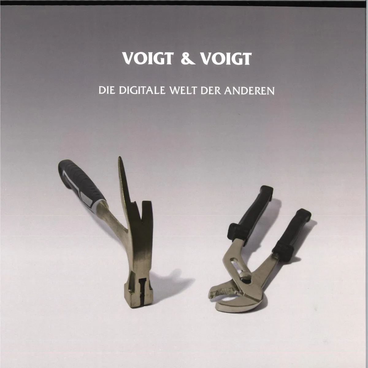 Voigt & Voigt — Die Digitale Welt Der Anderen