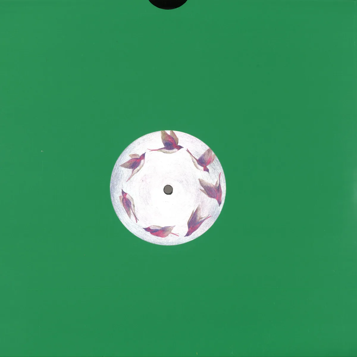Back cover — Auntie Flo — Green City Repress‬