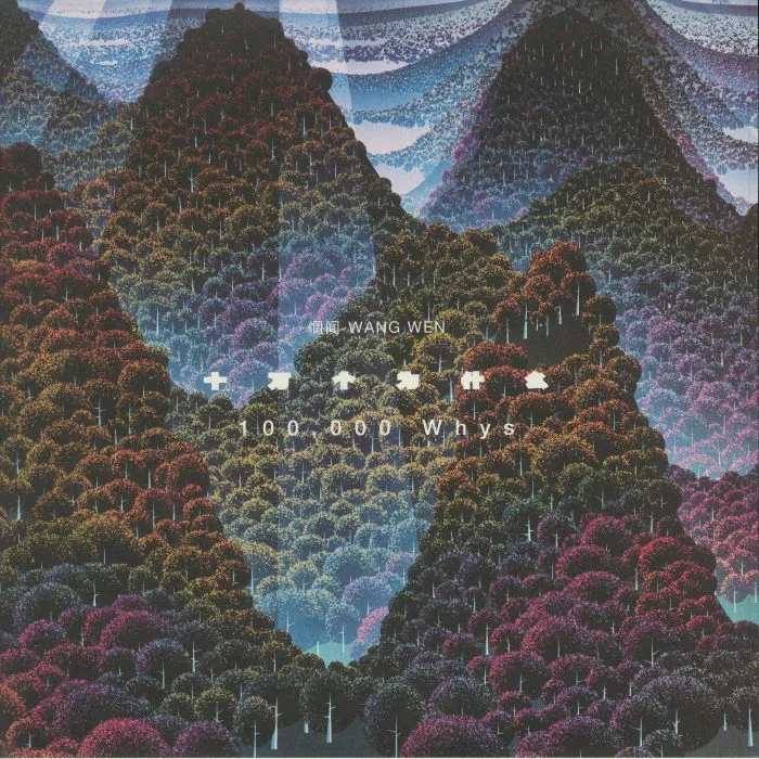 WANG WEN — 100000 Whys