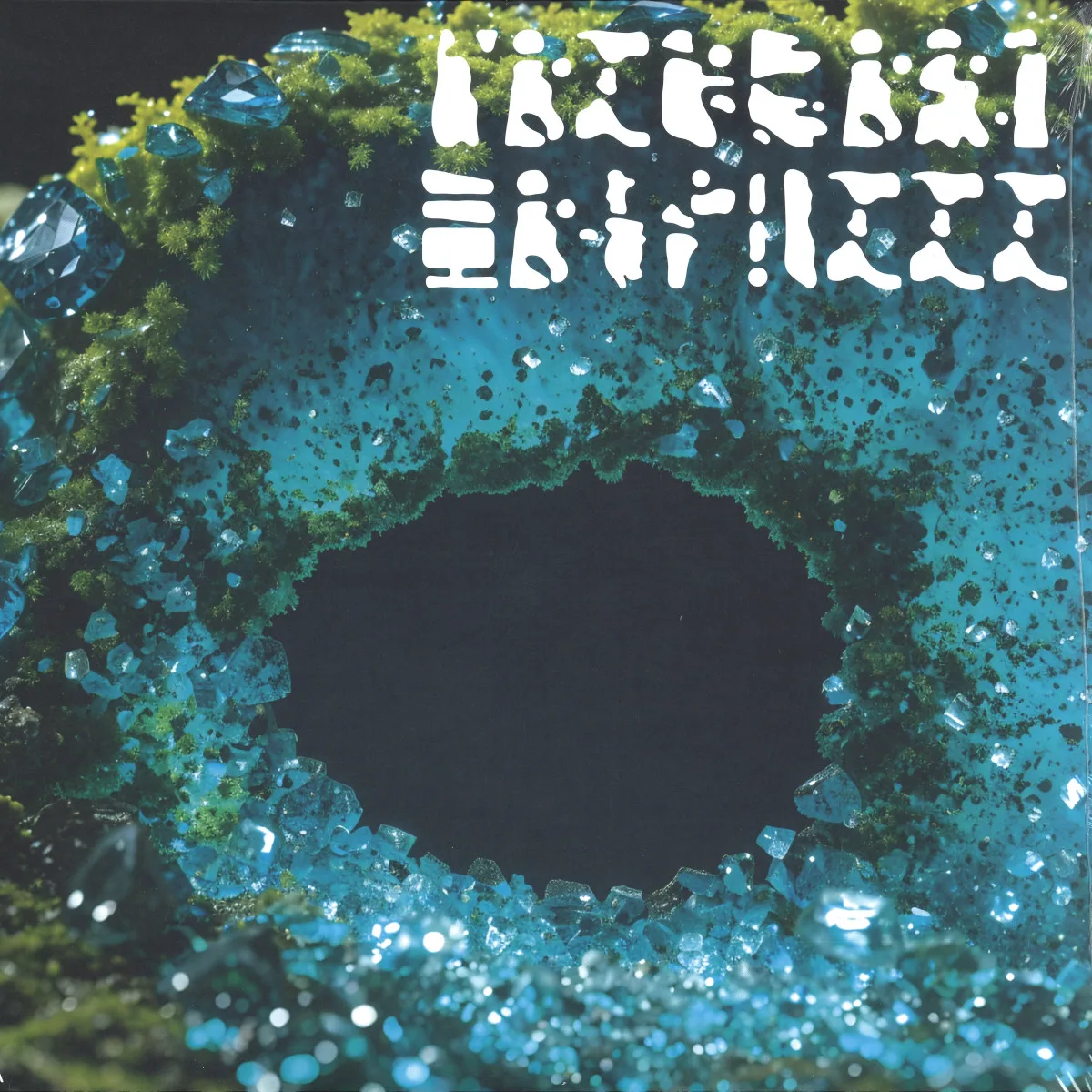 Various — PRIMARY FOREST 03