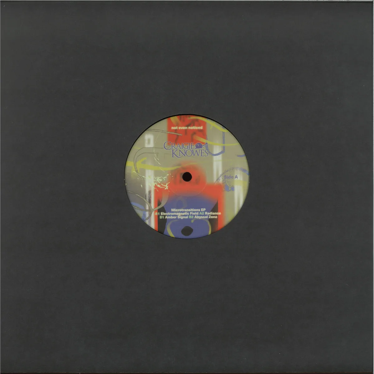 Back cover — Not Even Noticed — Microtransitions