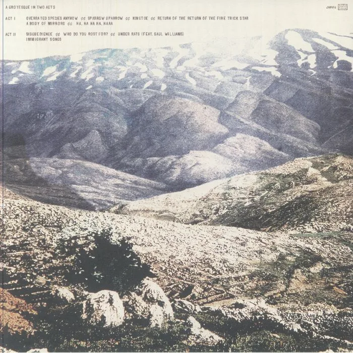 Back cover — DEERHOOF — Noble & Godlike In Ruin
