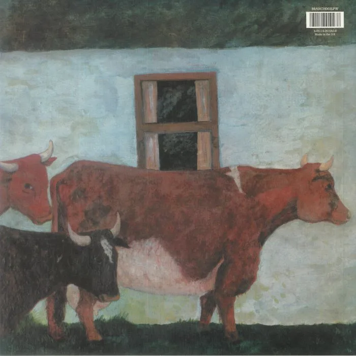 Back cover — Vashti BUNYAN — Just Another Diamond Day (reissue)