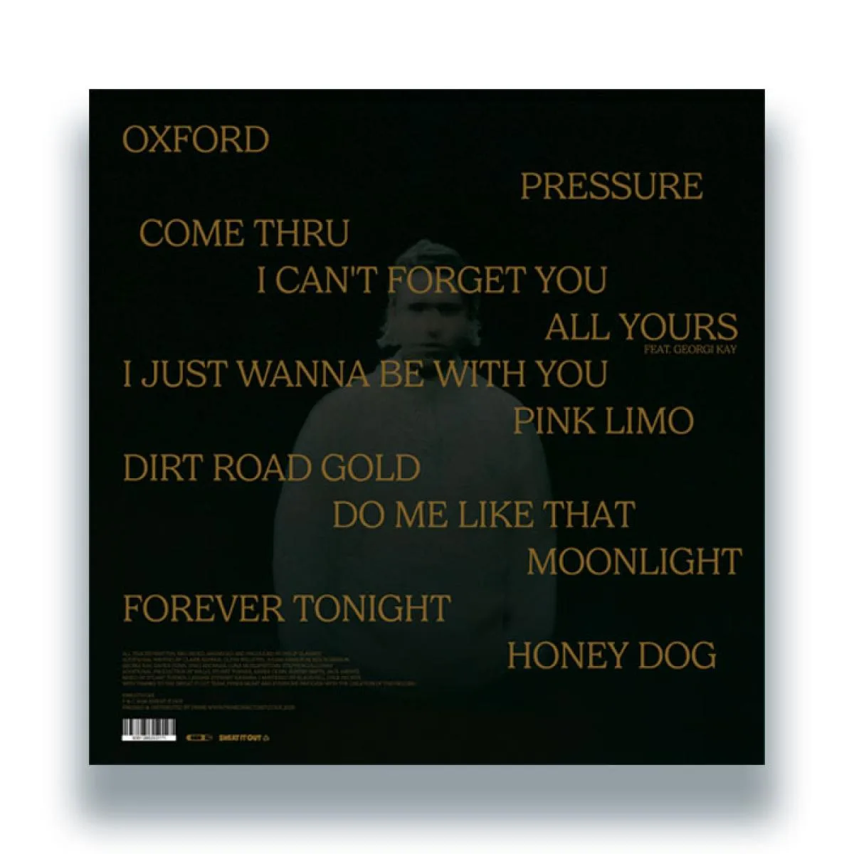 Back cover — Crooked Colours — Dirt Road Gold LP