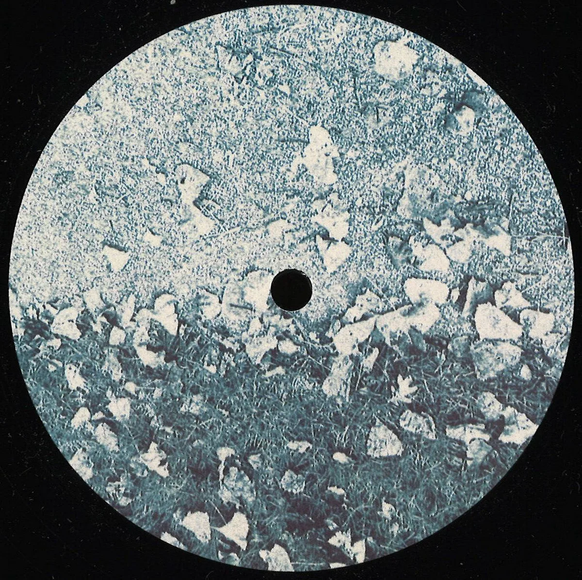 Cromie — Root Bulb