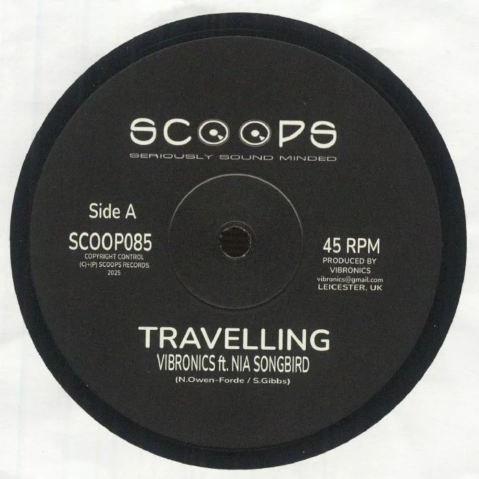 VIBRONICS feat NIA SONGBIRD — Travelling