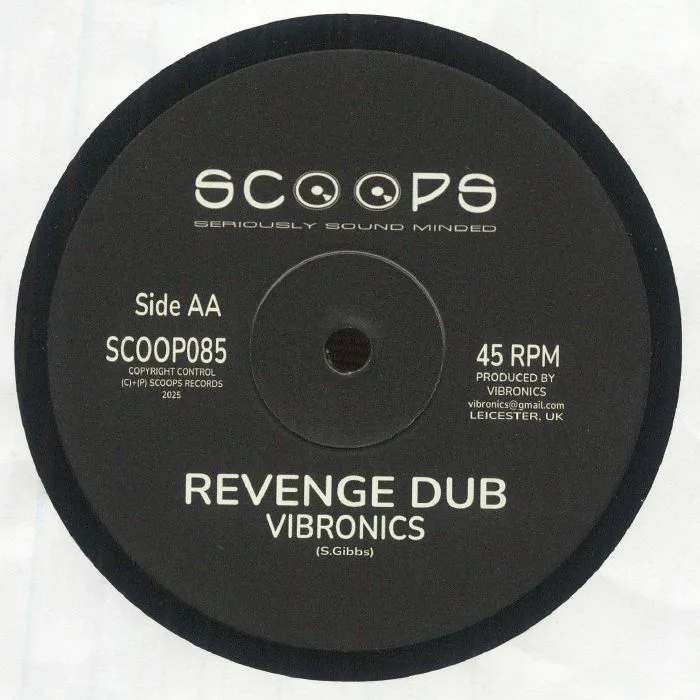 Back cover — VIBRONICS feat NIA SONGBIRD — Travelling
