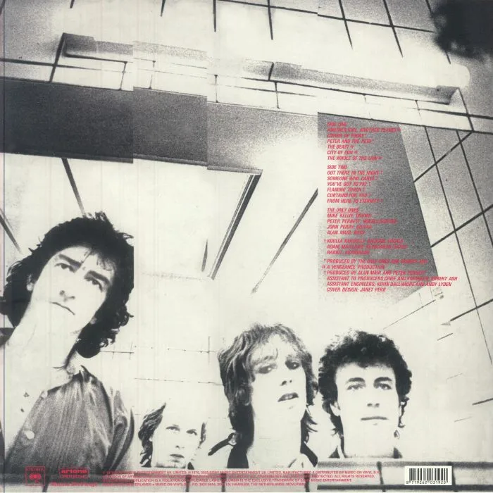 Обратная сторона обложки — The ONLY ONES — Special View (reissue)