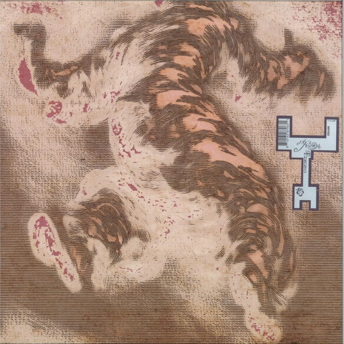 Piezo — Sky Burial