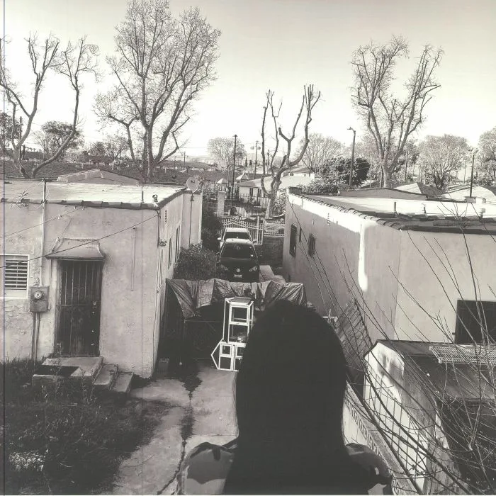 GENERACION SUICIDA — Regeneracion