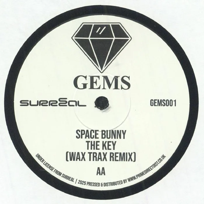 Обратная сторона обложки — RADICAL CHIC / SPACE BUNNY — In Da Shadows