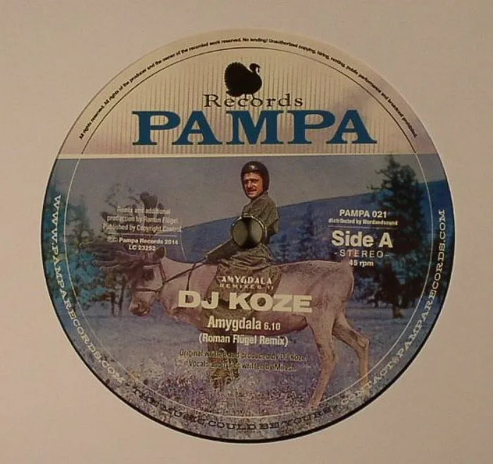DJ KOZE — Amygdala