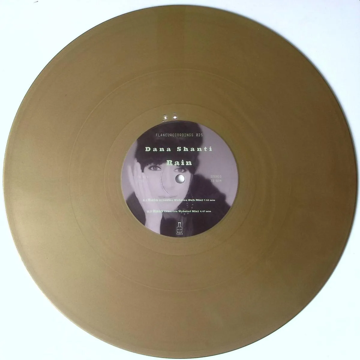 Front cover — Dana Santi — Rain