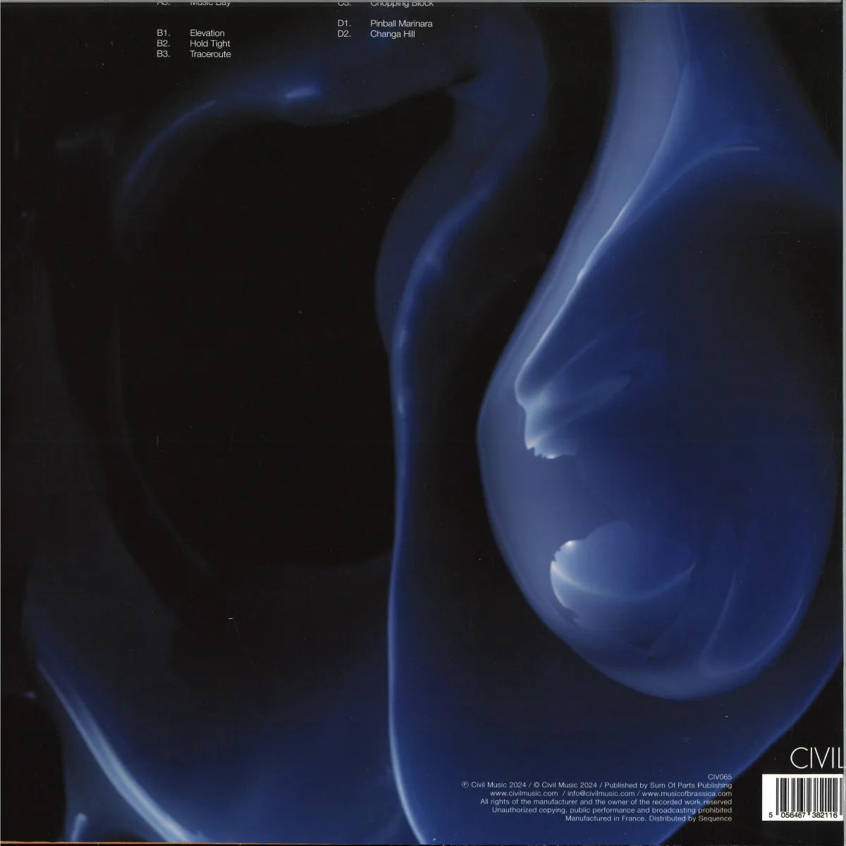 Обратная сторона обложки — Brassica — Tribeless Gathering LP 2x12"