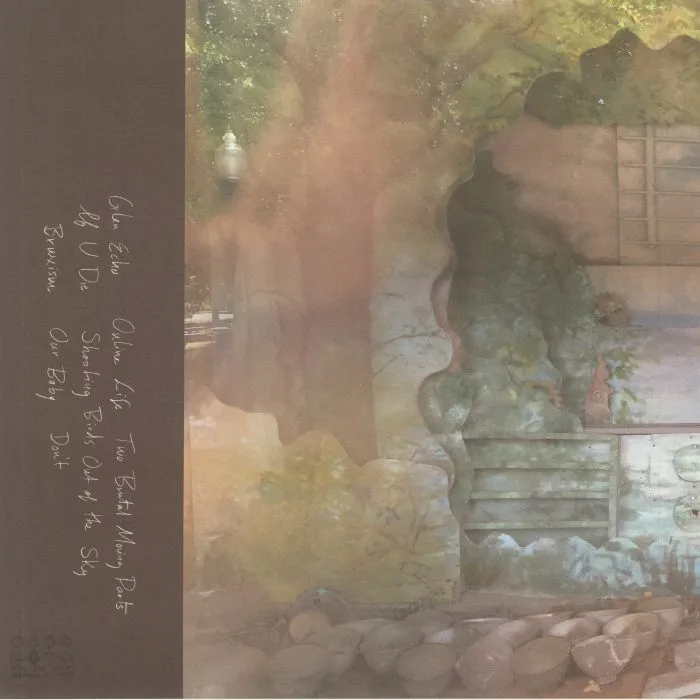 Back cover — AZITA — Glen Echo