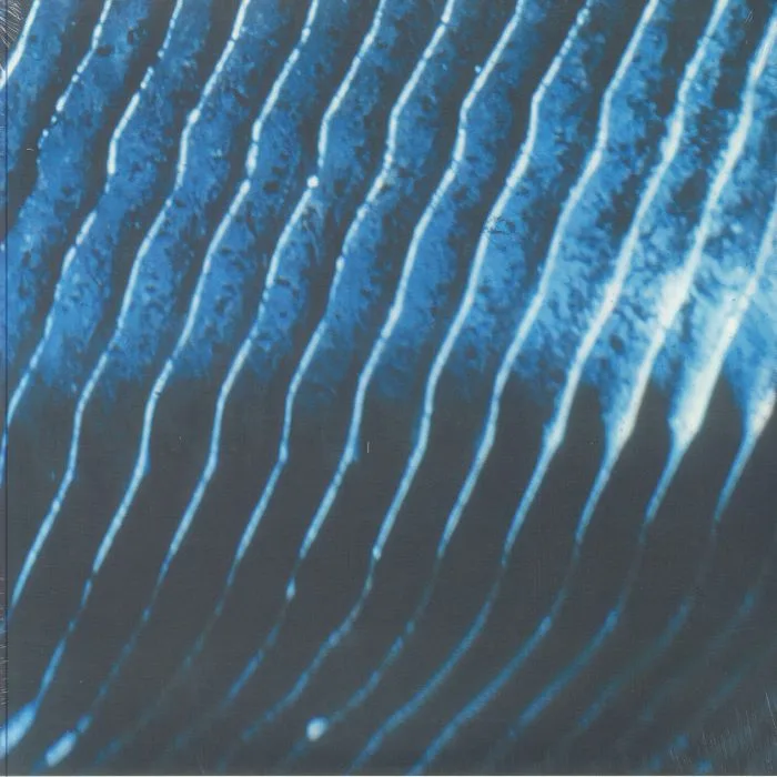 Лицевая сторона обложки — MONOLAKE — Gravity (reissue)