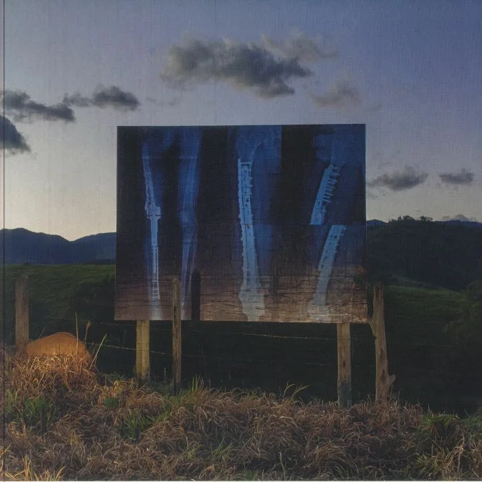 Bruno TONISI — Sensational Conversations