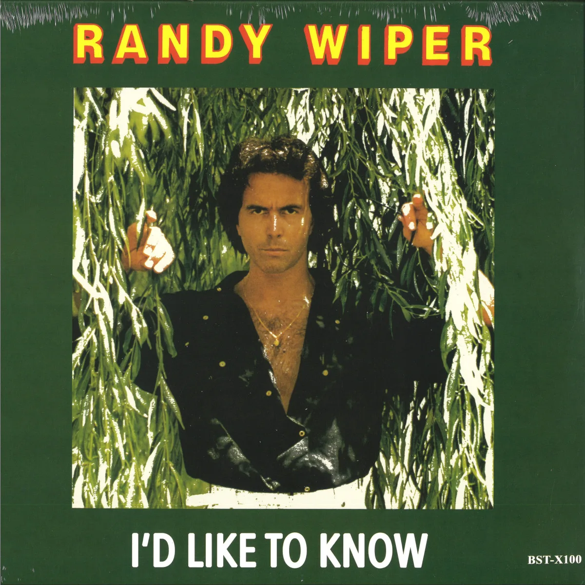 Randy Wiper — I'd Like To Know