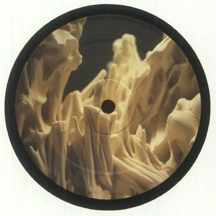 Back cover — OFF / GRID — Strobe Light Memories