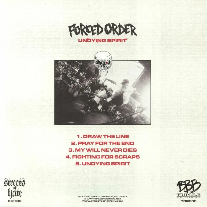 Back cover — FORCED ORDER — Undying Spirit