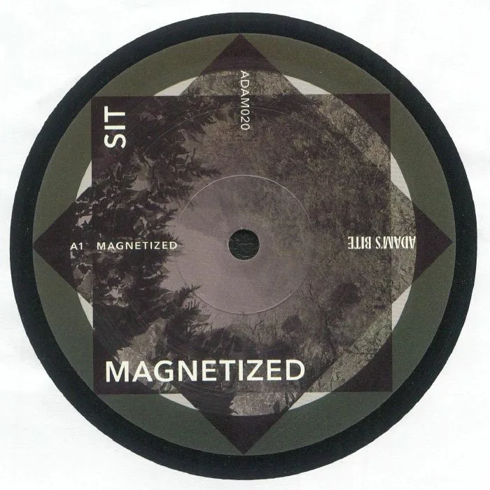 Лицевая сторона обложки — SIT — Magnetized