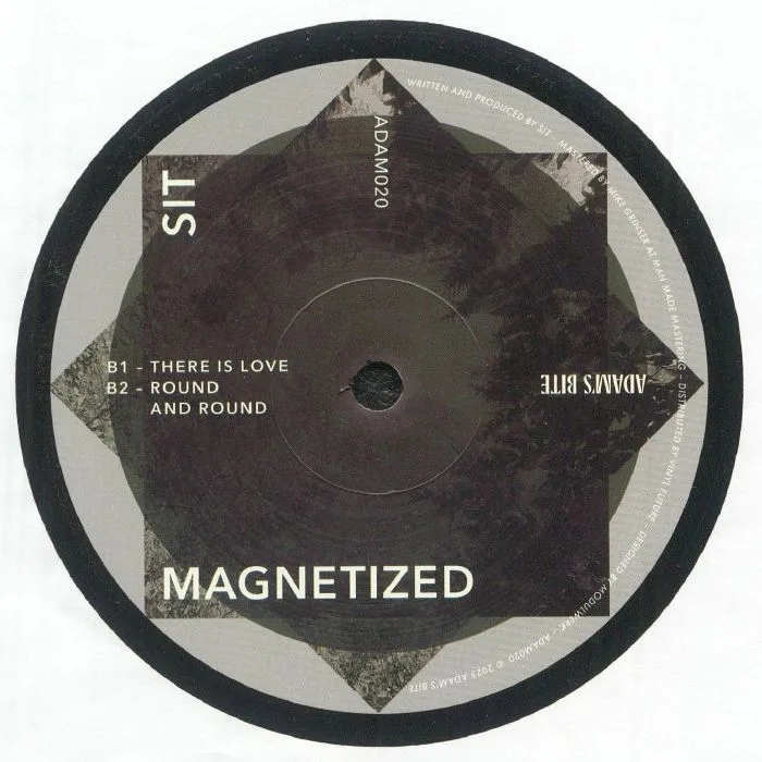 Обратная сторона обложки — SIT — Magnetized