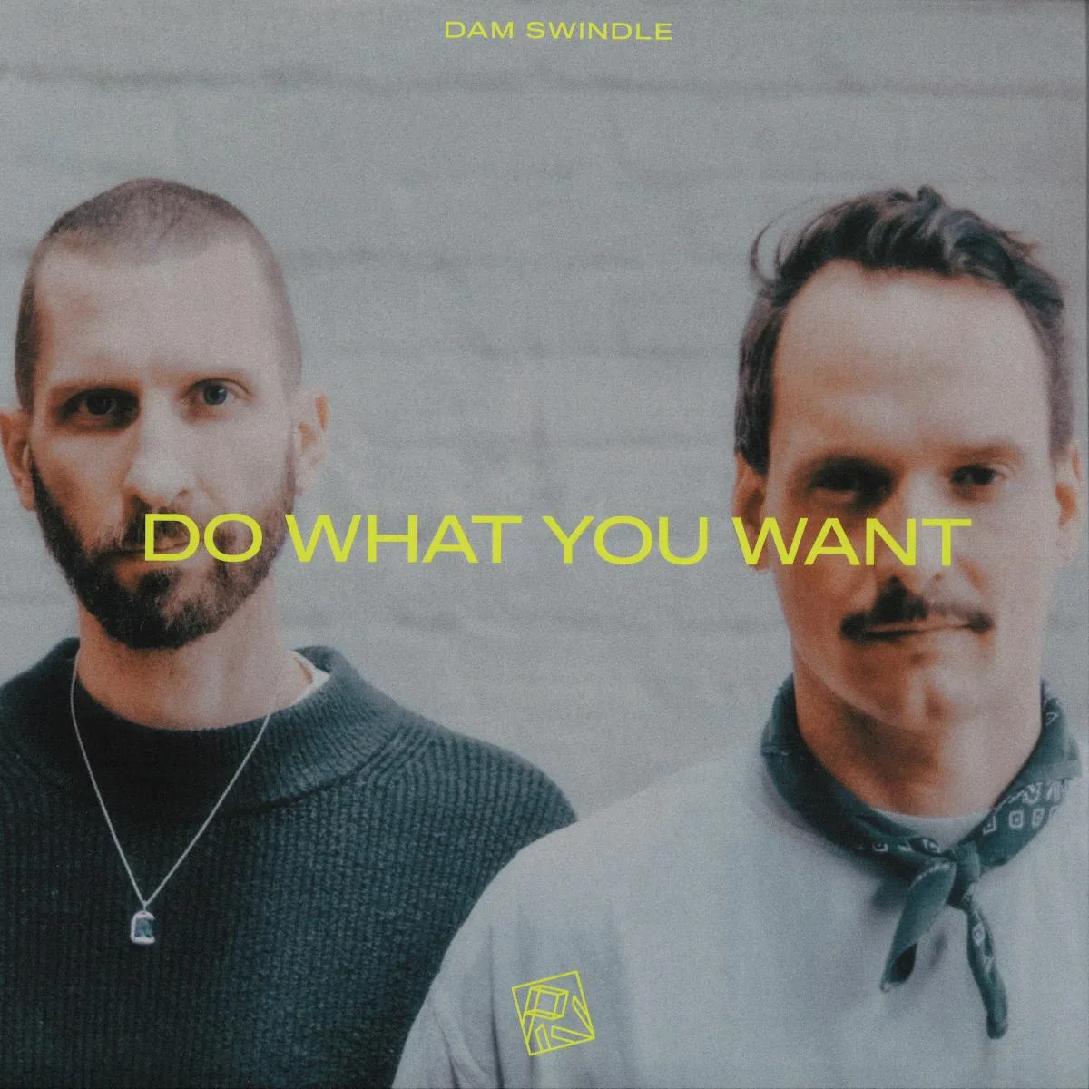 Dam Swindle — Do What You Want