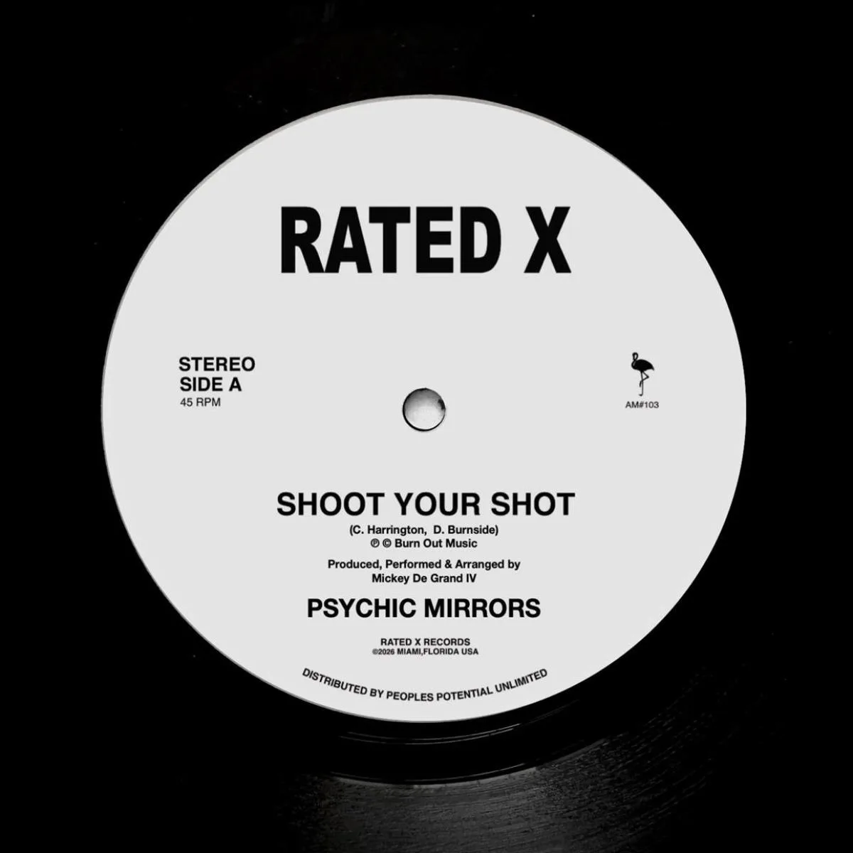 Лицевая сторона обложки — Psychic Mirrors — Shoot Your Shot