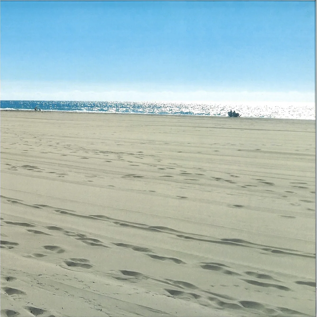 Pub — Single LP 2x12"