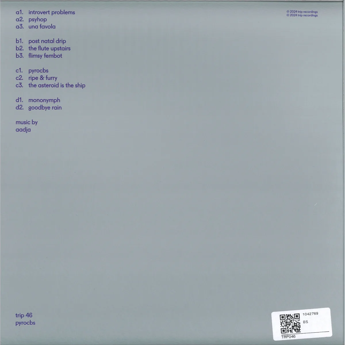 Back cover — Aadja — pyrocbs EP 2x12"