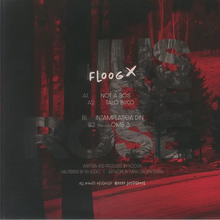 Обратная сторона обложки — FLOOG — Not A SOS