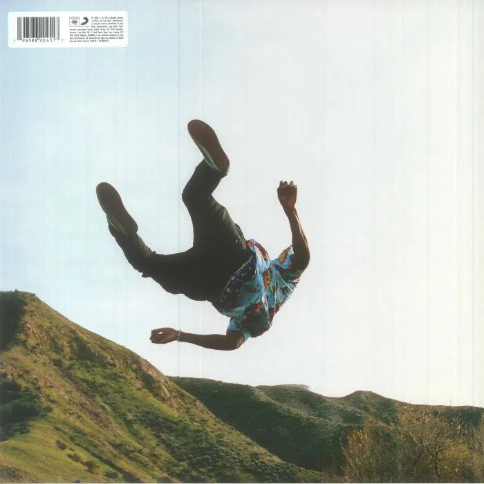 Обратная сторона обложки — TYLER THE CREATOR — Wolf (reissue)