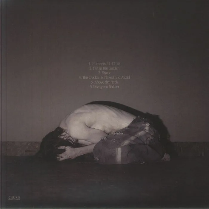 Back cover — Sofia ISELLA — Something Is A Shell