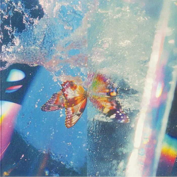 Back cover — DAPHNI — Butterfly (B-STOCK)