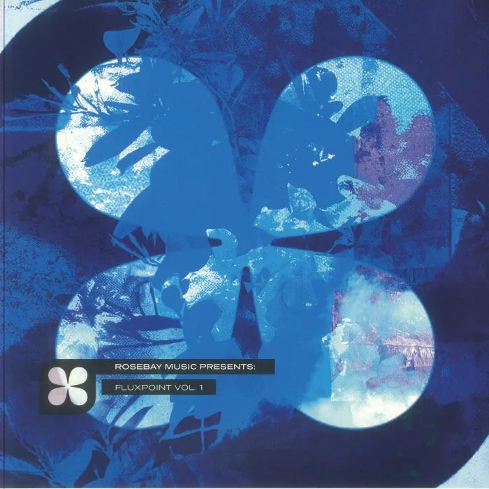 SUBMORPHICS — Fluxpoint Vol 1